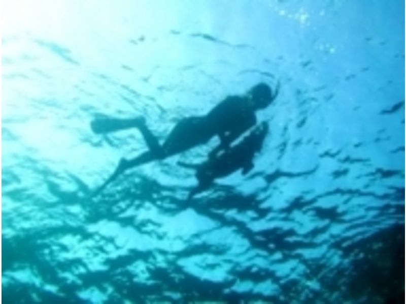 【茨城・水戸発】うみであそぼう!伊豆の海で体験シュノーケリング