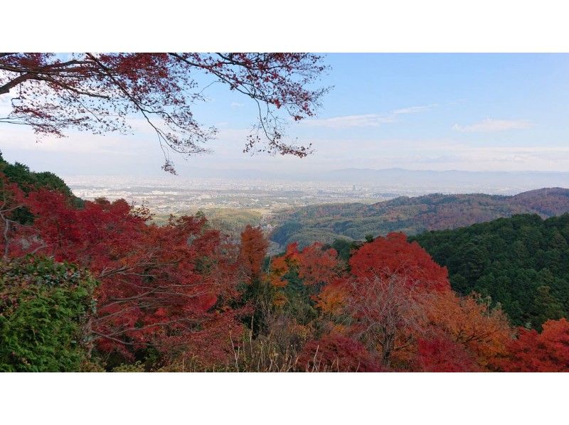 【京都・嵐山】嵯峨嵐山満載紅葉ツアー・大覚寺、鈴虫寺、善峯寺、松尾大社、サイクリング