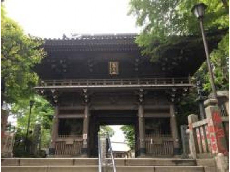団体貸切可！都心からバスで行く都会の中の大自然を歩く「高尾山」ハイキングバスツアー【14987】