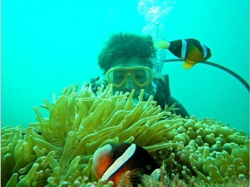 【城ヶ崎海岸】午前４名様以上割引コース！ダイビング後、天然温泉入る！写真集プレゼント！