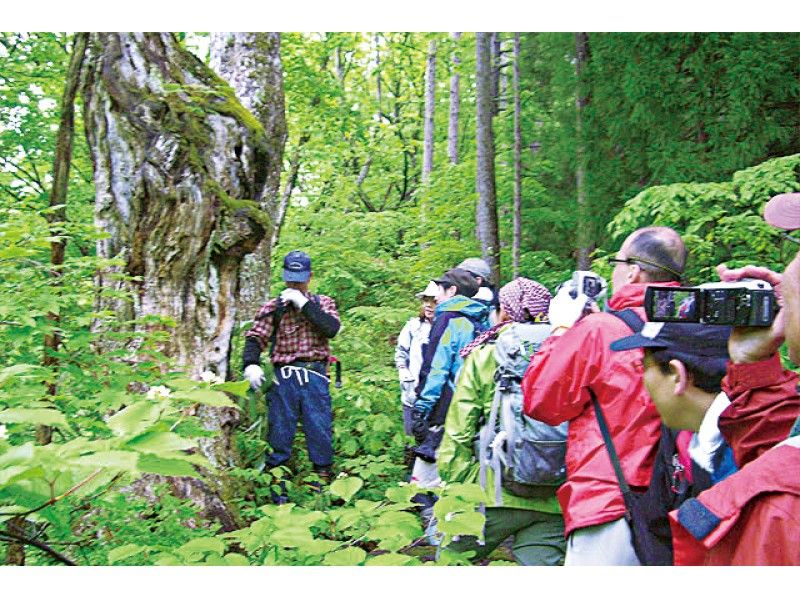 【秋田・北秋田】ミステリアスな山侍!現役マタギと行く!マタギウォーク(滝歩きコース)