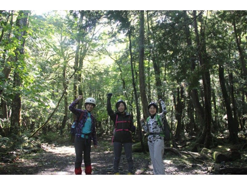 【山梨・鳴沢村】まるで別世界！ガイドと歩く神秘の森 青木ヶ原樹海＆洞窟探検