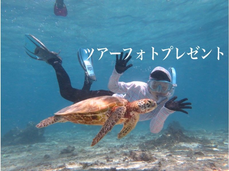 【宮古島/限定割引】貸切プライベートツアー♪ウミガメ探そう！３才から楽しめるシュノーケルツアー☆