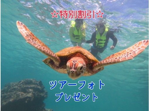 元祖貸切ツアー ウミガメ探そう 大人も子供も楽しめる ３才から参加できるシュノーケルツアー