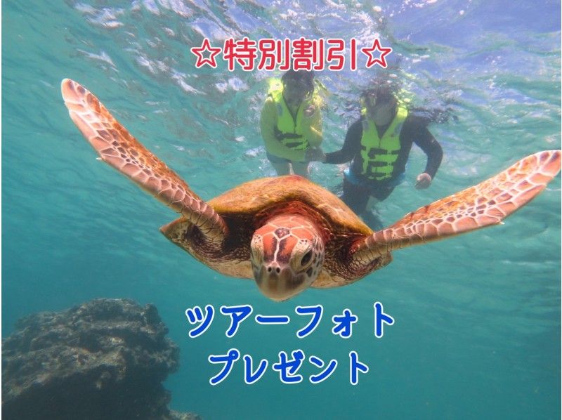 Hisスーパーサマーセール実施中 貸切ツアー ウミガメ探そう 大人も子供も楽しめる ３才から参加できるシュノーケルツアー アクティビティジャパン