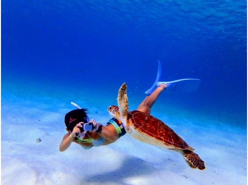 【鹿児島・沖永良部島】「遭遇率99%！秘密のポイントでウミガメと一緒に泳ぐ」シュノーケリングツアーの画像