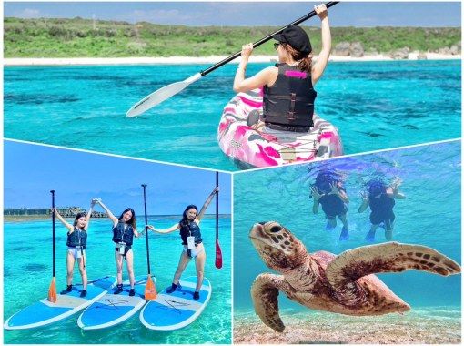 [Miyakojima/1 day] Free photo data and island transfers! Sea turtle snorkeling & SUP/canoeing ★ Miyakojima basic 1-day plan [student discount plan]の画像