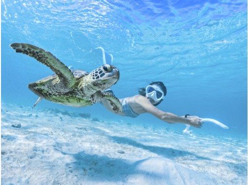 [Miyakojima/half day] Pick-up and drop-off available! Sea turtle snorkeling ★ High chance of encountering ★ Overwhelmingly high quality service ★ Free photo dataの画像