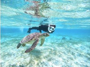 [Miyakojima/Half-day] Overwhelmingly high-quality service! Sea turtle snorkeling ★ High chance of encountering ★ Free photo data/equipment! Pick-up and drop-off negotiable! Spring sale now on