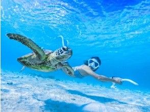 [Miyakojima/half day] Pick-up and drop-off available! Sea turtle snorkeling ★ High chance of encountering ★ Overwhelmingly high quality service ★ Free photo data