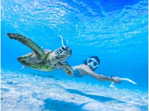 [Miyakojima/half day] Pick-up and drop-off available! Sea turtle snorkeling ★ High chance of encountering ★ Overwhelmingly high quality service ★ Free photo dataの画像