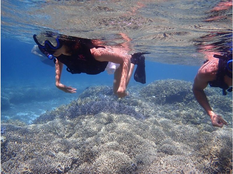 【沖縄・宮古島】【1日 】ウミガメシュノーケリング＆“竜宮城”パンプキン鍾乳洞【写真データ無料】