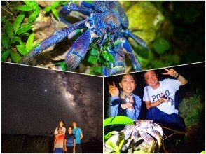 [Miyakojima/Night] Starry sky & jungle night tour ★ Natural planetarium x rare tropical creatures ★ Same-day applications OK ★ SALE!