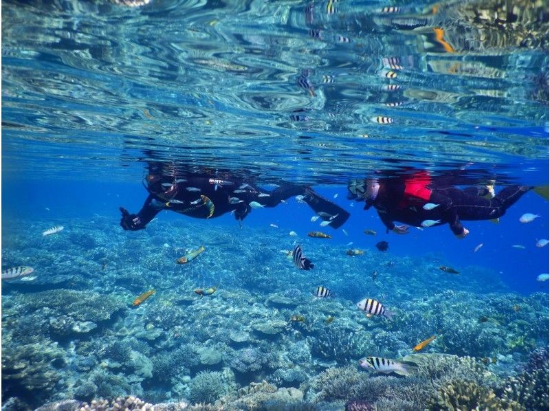 【沖縄・水納島・瀬底島】 2ボートスノーケリング 午前1組限定開催 写真撮影無料
