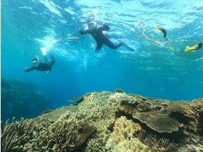 [Okinawa, Minna Island, Sesoko Island] Boat snorkeling (2 rounds) Photo video shooting giftの画像