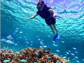 [Miyakojima/Half-day] Miyakojima Tropical Snorkeling ★ Natural Aquarium Experience ★ Free photo data/equipment rental! Pick-up and drop-off available! Spring sale now onの画像
