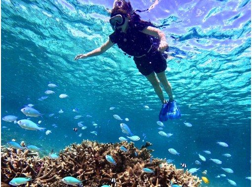 销售！ 【宫古岛/半天】宫古岛热带浮潜★天然水族馆体验★照片资料/设备租赁免费！交通咨询OK！の画像