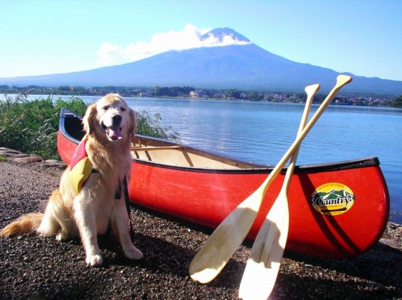 山梨 河口湖 愛犬と一緒に湖上散歩 カヌー犬養成講座 ペットと楽しむカヌー体験 アクティビティジャパン