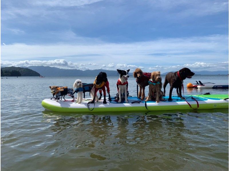 【滋賀・琵琶湖】ワンコとSUP♪♪愛犬と一緒にSUP