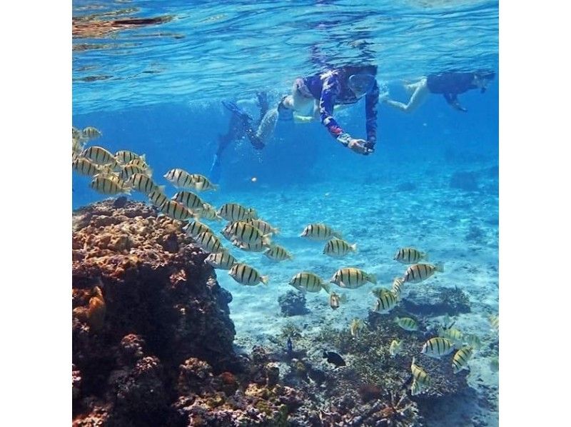 【沖縄・宮古島】★スタッフオススメ★シュノーケル1H体験・フォト付きプラン!