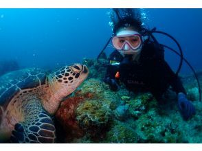 Diving Shop Ryaaanの予約 アクセス 営業時間 アクティビティジャパン