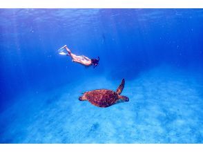 【沖縄・慶良間諸島】無人島でウミガメシュノーケリング&スキンダイビング★小さなお子様連れでも安心♪