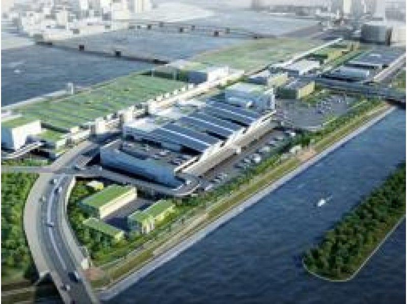 豊洲市場内部見学&水陸両用バス東京湾クルーズ ~海の見えるお台場のランチビュッフェ付き【14933】