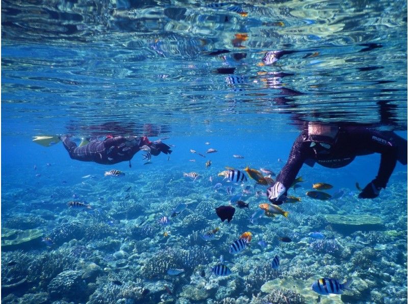 【沖縄・水納島・瀬底島】 1ボートスノーケリング 午後1組 限定開催 写真撮影無料