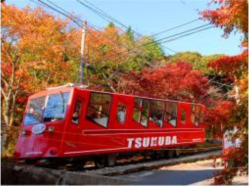 ケーブルカーで楽々山頂へ！「筑波山」山頂から望む絶景紅葉＆「偕楽園」紅葉ライトアップ【14833】