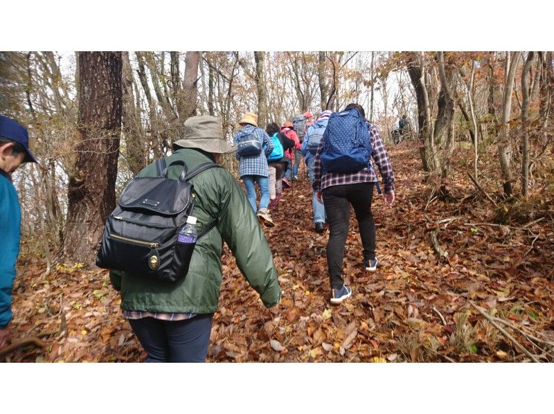 【福島県・いわき】10/20(日)出発限定 ブナ・ナラの原生林朝日山登山と木造校舎で木工体験 ツアー