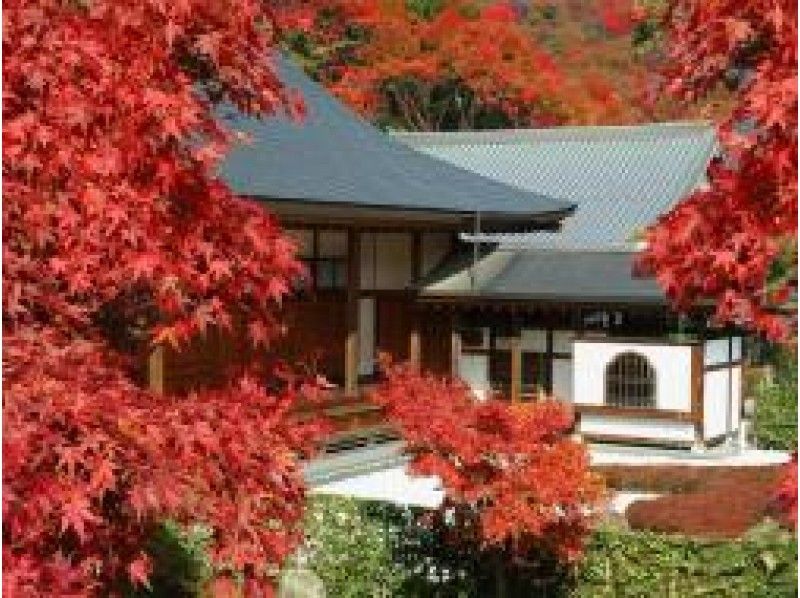 関東では珍しい「宝徳寺の床もみじ」と紅葉の崇禅寺＆出流原弁天池見学【15128】