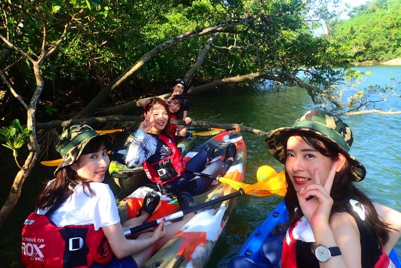 A group of women enjoying a mangrove tour