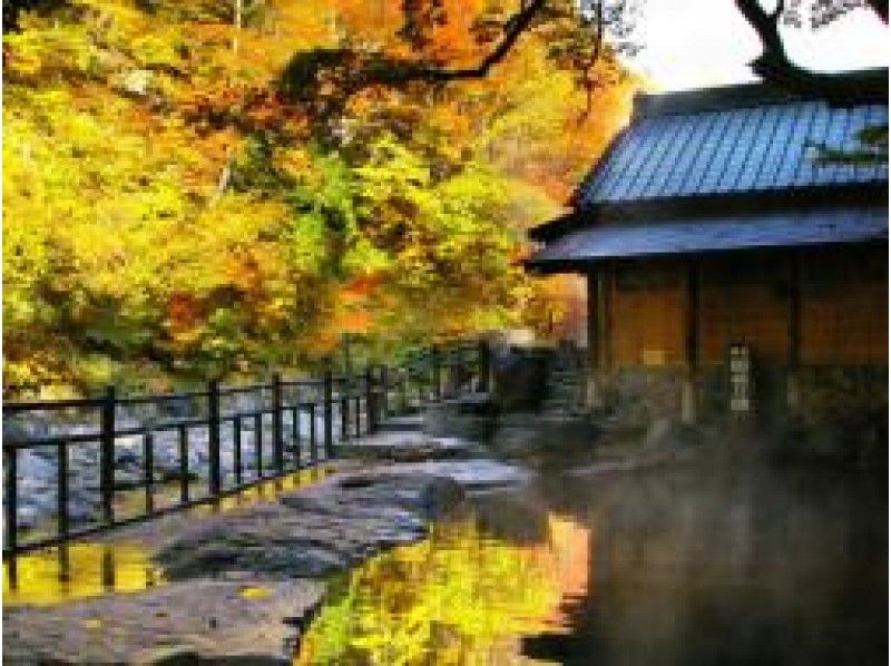 源泉掛け流し広さ200畳の紅葉大露天風呂「宝川温泉」ゆったり温泉紀行バスツアー【15155】