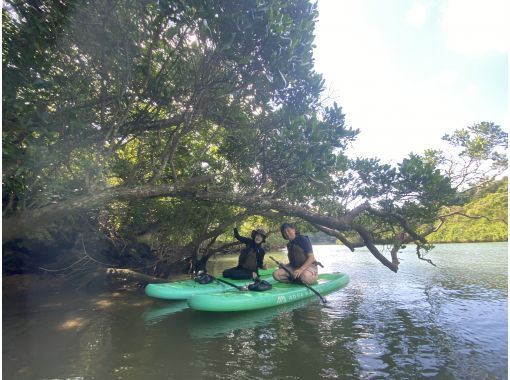 Main Island Central Group Discount ★ Mangrove River Sap Tour Get a great deal if you gather 4 people! Tour image gift!の画像