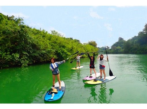 SALE! Group discount for central main island ★ Mangrove River SUP tour. Great value for 4 people! Tour photos as a gift!の画像