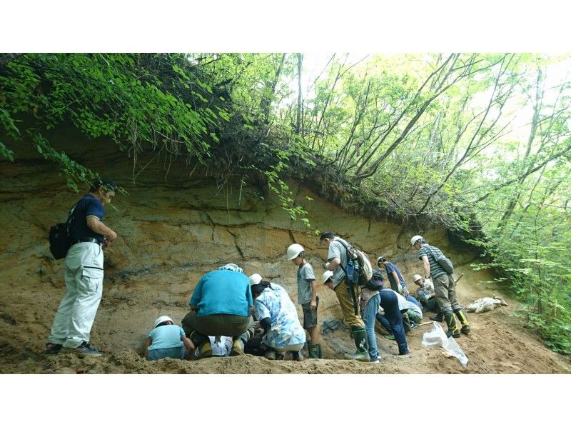 【福島県・いわき】10/13(日)・11/3(日)出発限定 日本三大コハクの産地　宝石発掘に挑戦！