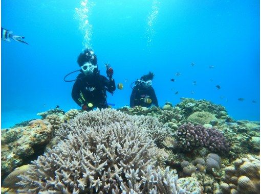 [Okinawa, Minna Island, Sesoko Island] Boat experience diving + snorkeling Photo video shooting giftの画像