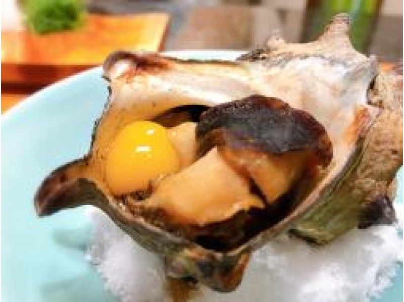 ≪ポケカルプレミアム≫「すし処　うお倉」の特別ランチ江戸前寿司コース 【15177】