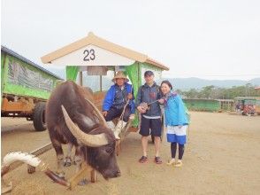 [Okinawa, Iriomote Island] Limited time (October to mid-June) Pinaisara Falls & Yubu Island sightseeing tour full of Iriomote Island's charm