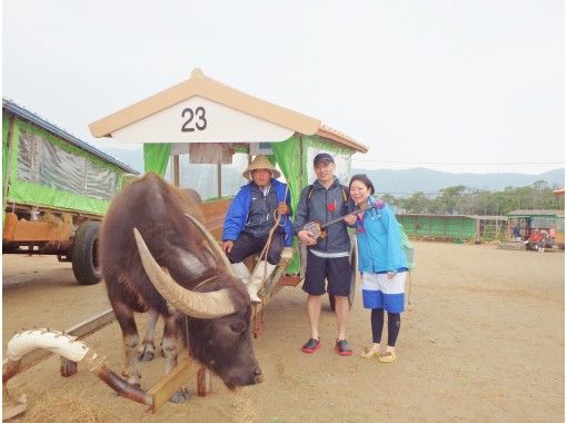 [Okinawa, Iriomote Island] Limited time (October to mid-June) Pinaisara Falls & Yubu Island sightseeing tour full of Iriomote Island's charmの画像