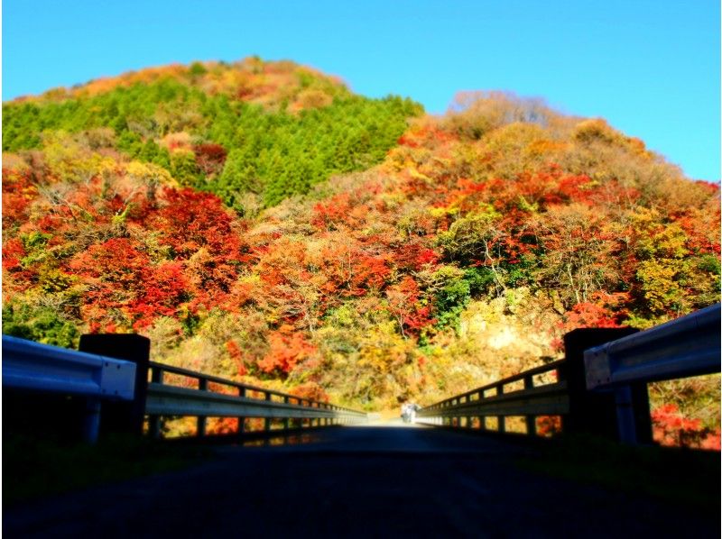 【福島県・いわき】11/28・29・12/3出発 もみじのトンネル龍神峡と割烹旅館であんこう鍋を食す