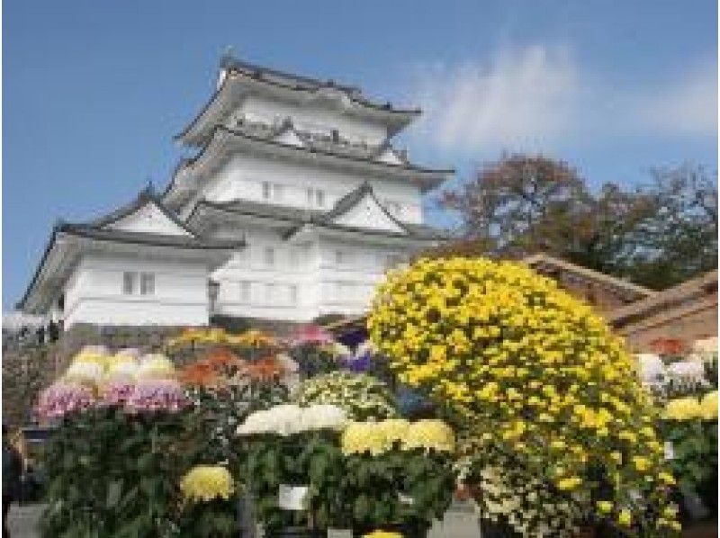 プロガイドと行く！「早雲寺」特別公開と難攻不落の城「小田原城」散策ツアー【15163】