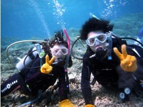 [Okinawa ・ Iriomote Island] Experience Diving(One day course)