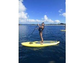 ネイチャーランドカヤックス(NatureLand Kayaks)