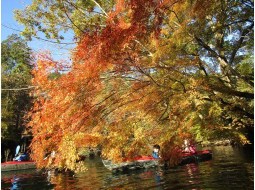 [Midori City, Lake Kusagi, Gunma Prefecture] Canoe tour for ages 3 and up! (Half-day) Autumn foliage canoe tour at Lake Kusagi ☆ Free photos! Dogs are welcome!の画像