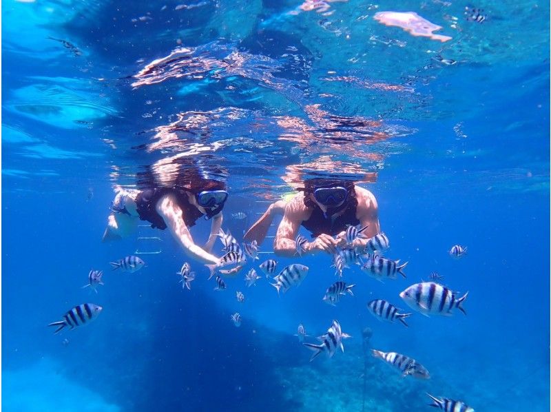 【北海道・SUP体験】透明度の高い支笏湖の湖面をクルージング！SUP体験（半日コース）の画像