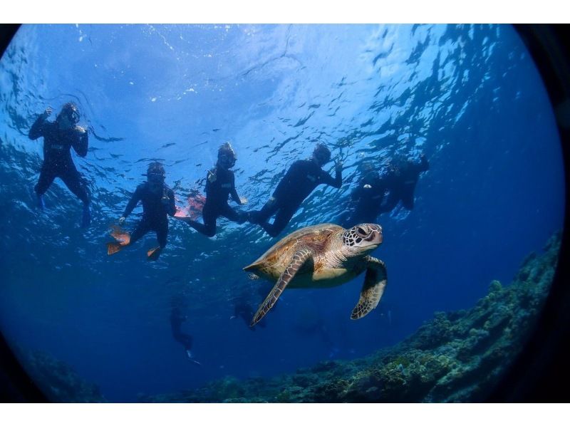 【北海道・SUP体験】透明度の高い支笏湖の湖面をクルージング!SUP体験(半日コース)の画像
