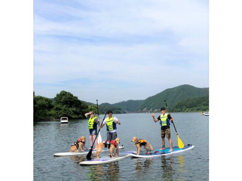 【宮城・湖畔公園】DogSUP体験会~愛犬と一緒に楽しめる水上散歩!