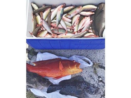 【石垣島】手ぶらOK！初心者・ファミリー大歓迎✨半日グルクン釣り体験！サビキ釣りで気軽に県魚グルクンを釣ろう！（午前・午後開催）の画像