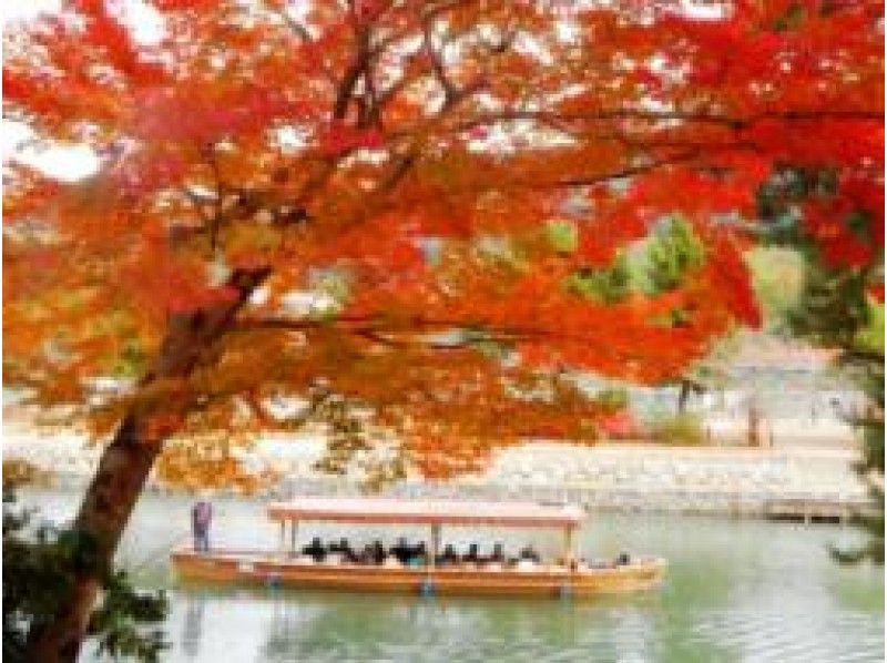 【京都】紅葉の宇治川遊覧と宇治抹茶のルーツをガイドと巡る【P015216】
